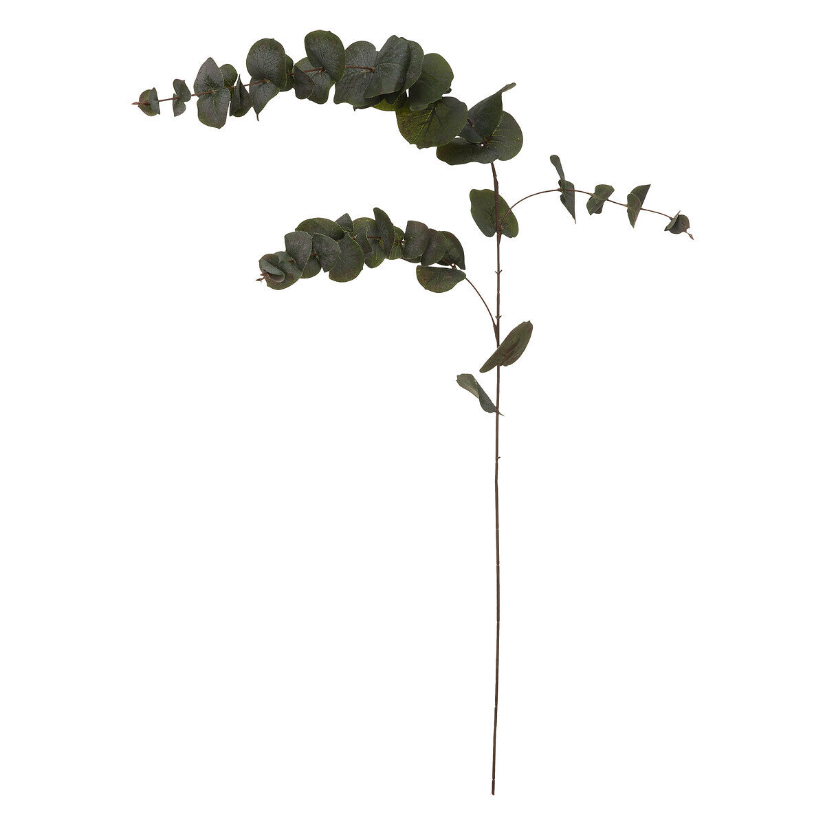 TIGE EUCALYPTUS ARTIFCIELLE H 118 CM