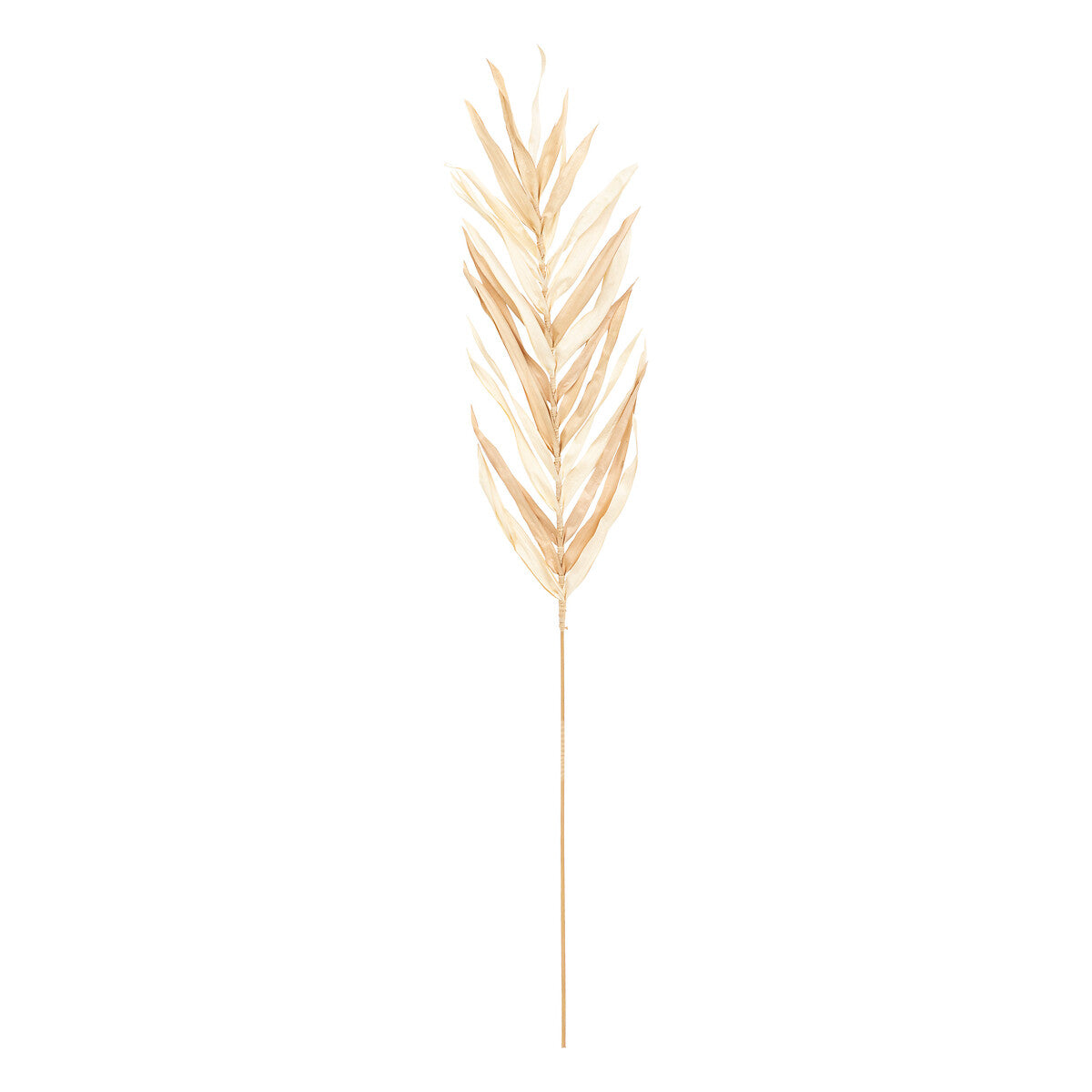 LOT DE 3 TIGES DE PALMIER OVA H 85CM