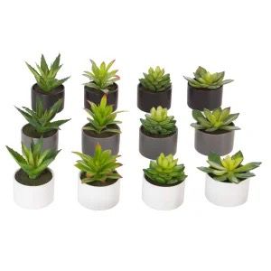 PLANTE POT CERAMIQUE H12