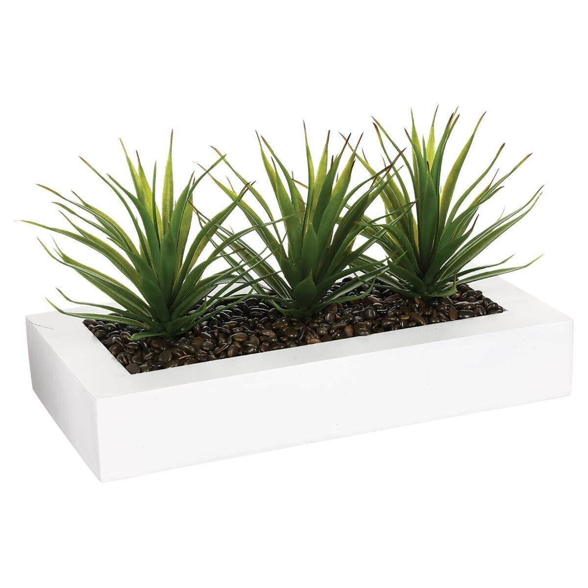 CENTRE DE TABLE ALOE VERA
