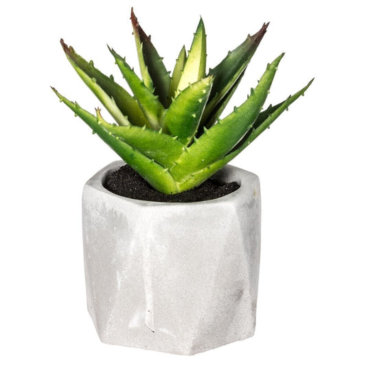PLANTE GRASSE ARTIFCIELLE H 14 CM