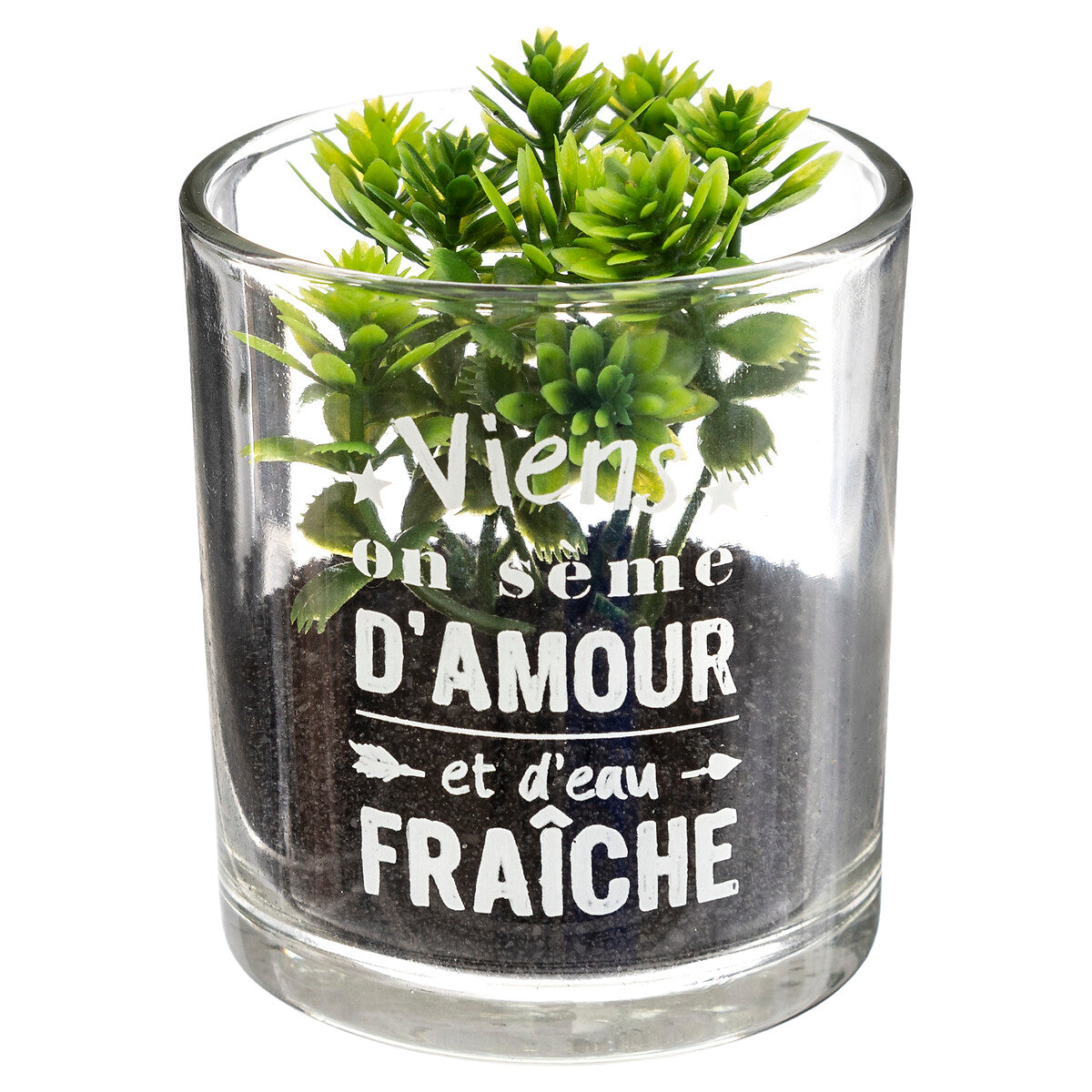 PLANTE ARTIFICIELLE MESSAGE POT VERRE H 8CM