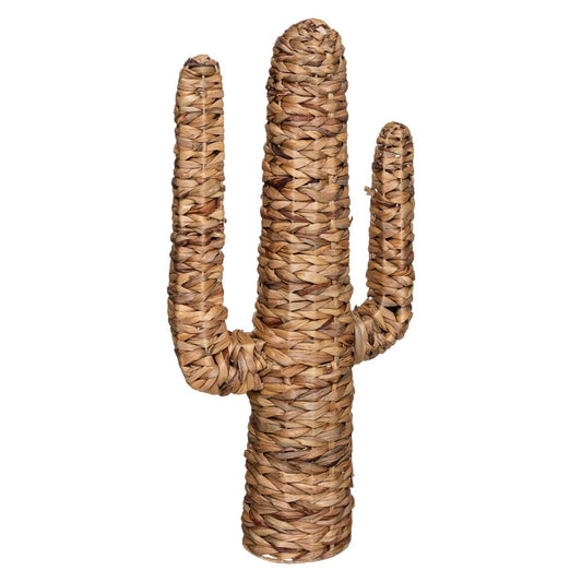 CACTUS HACIENDA H 75CM