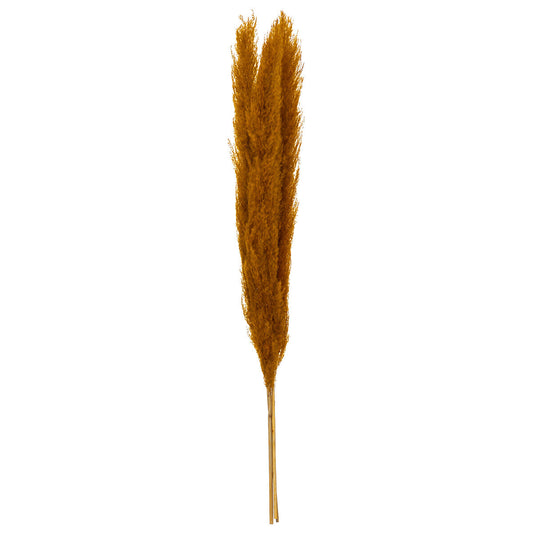 SET DE 3 FLEURS SECHEES PAMPA NATURELLE H 110CM