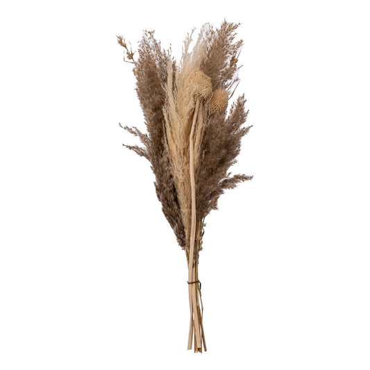 BOUQUET DE PAMPAS SECHEE BLANC IVOIRE H 58CM