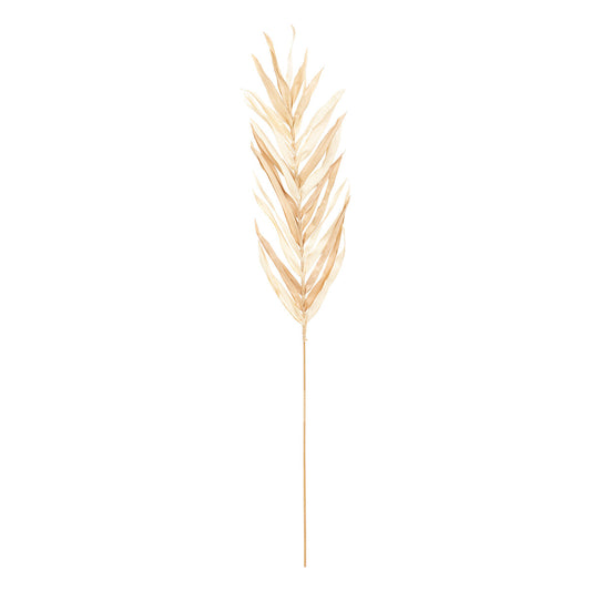 LOT DE 3 TIGES DE PALMIER OVA H 85CM