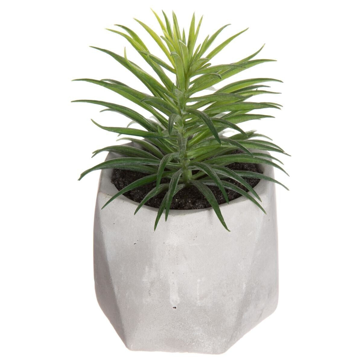 PLANTE GRASSE ARTIFCIELLE H 14 CM