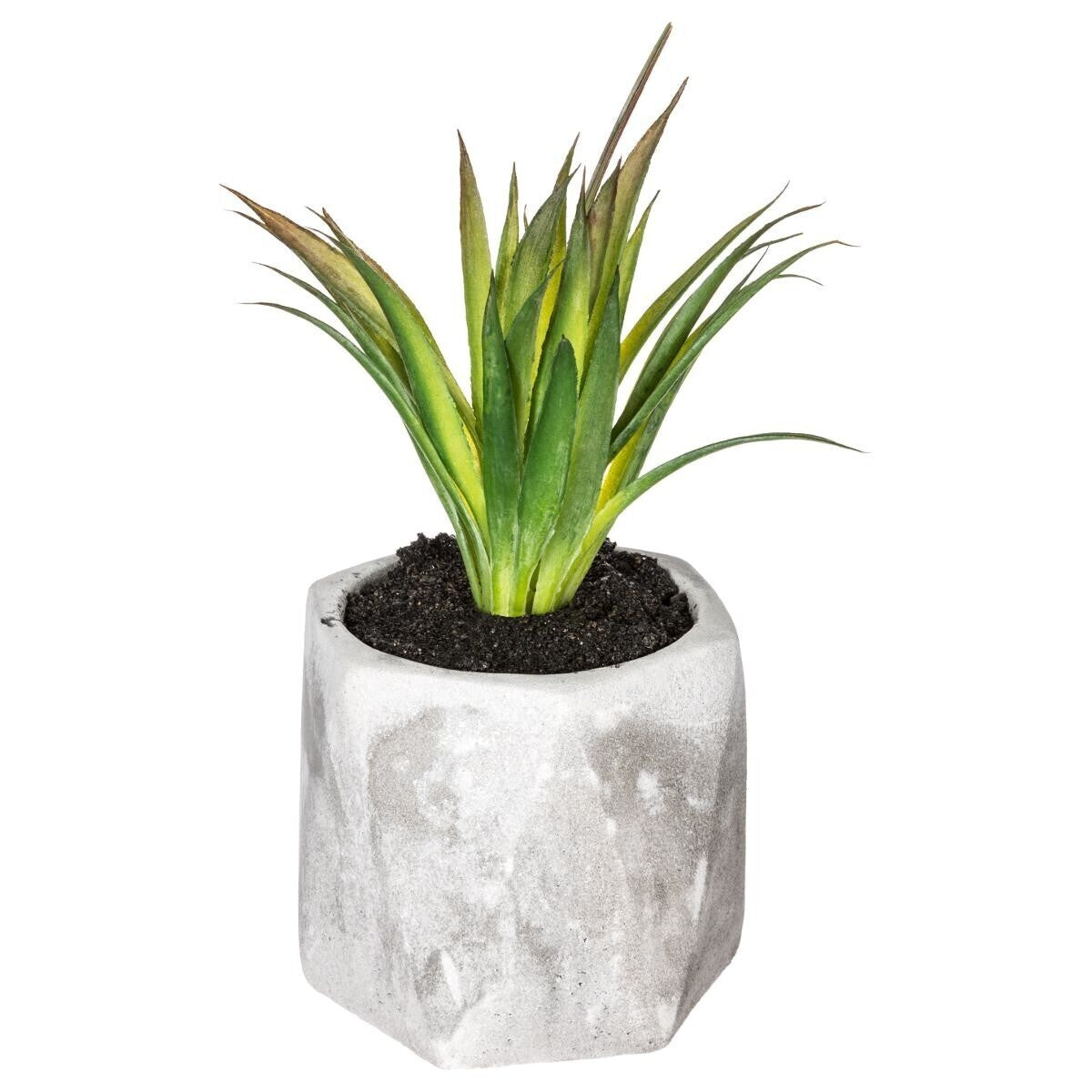PLANTE GRASSE ARTIFCIELLE H 14 CM