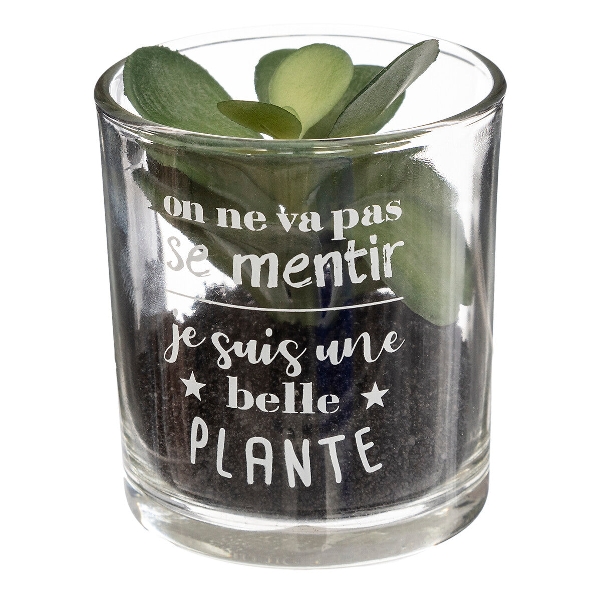 PLANTE ARTIFICIELLE MESSAGE POT VERRE H 8CM