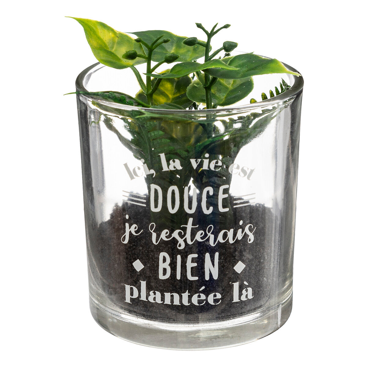 PLANTE ARTIFICIELLE MESSAGE POT VERRE H 8CM