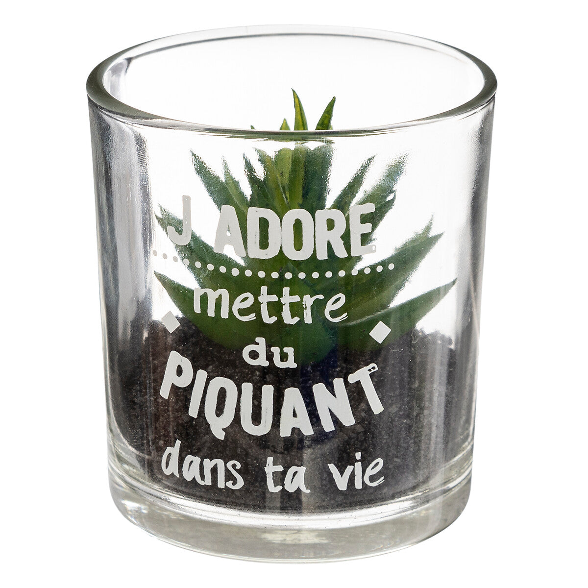 PLANTE ARTIFICIELLE MESSAGE POT VERRE H 8CM