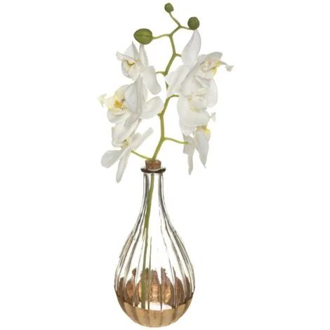 VASE ORCHIDEE